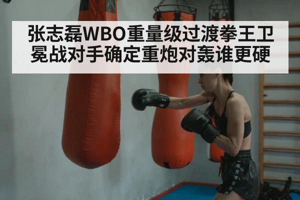 boxer training punching bag